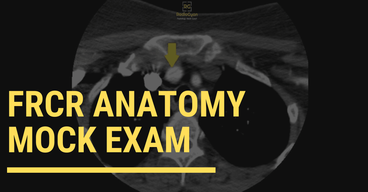 FRCR Anatomy Mock exam 1