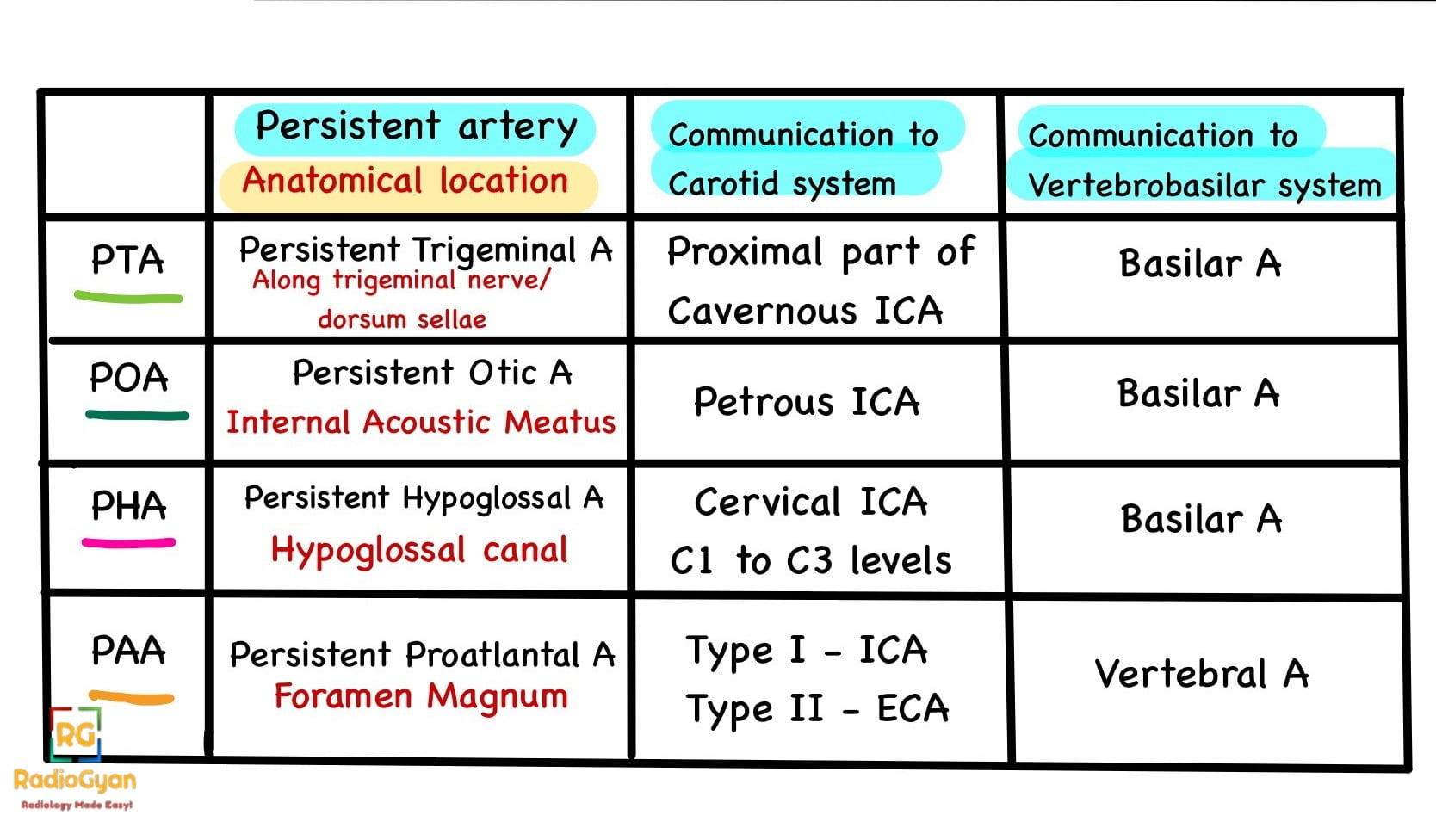 Common persistent carotid-vertebrobasilar anastomoses